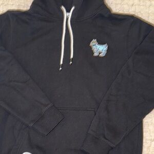 Classic Black Hoodie with Blue Embroidered Design